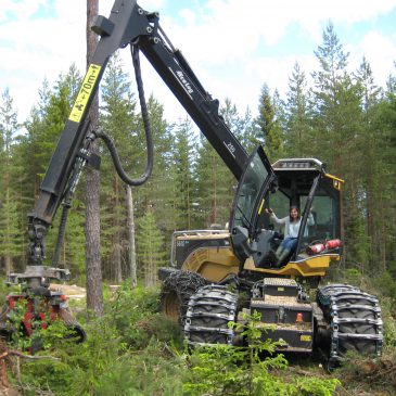 Unsere junge Mitarbeiterin auf Besuch bei einem Sägewerk in Schweden